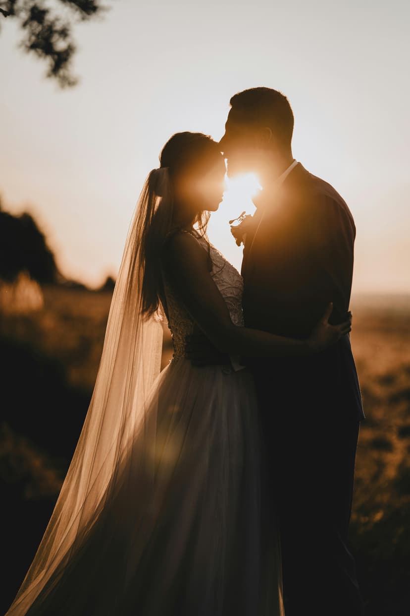 Moody love wedding LUT example